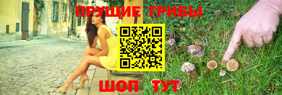 Псилоцибиновые грибы мухоморы  Псилоцибиновые грибы Psilocybe  где продают наркотики  Когалым  Вход с VPN 